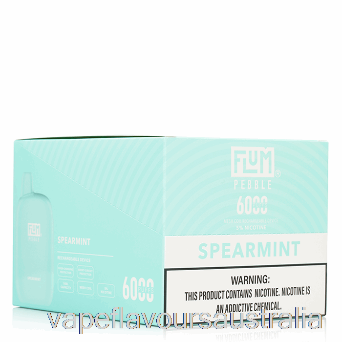 Vape Australia [10-Pack] Flum Pebble 6000 Disposable